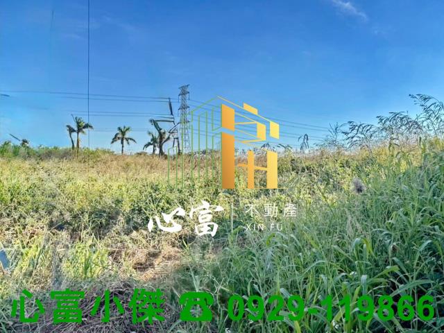 高雄湖內工業地-1