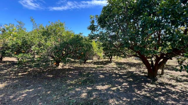 苗栗頭份農地-5