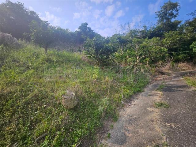 高雄大樹農地-3