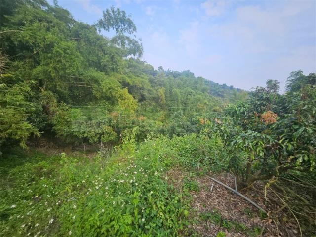 高雄大樹農地-4