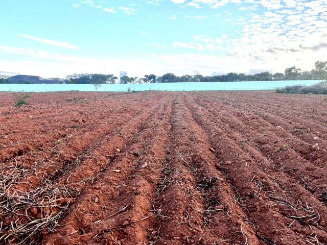 台中大雅農地-1