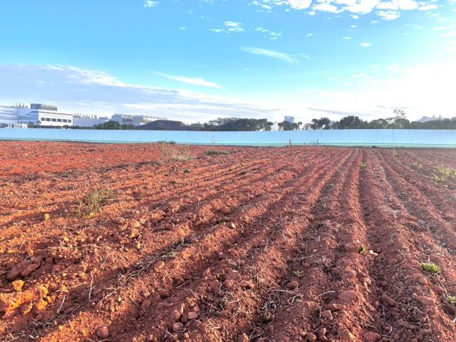 台中大雅農地-2