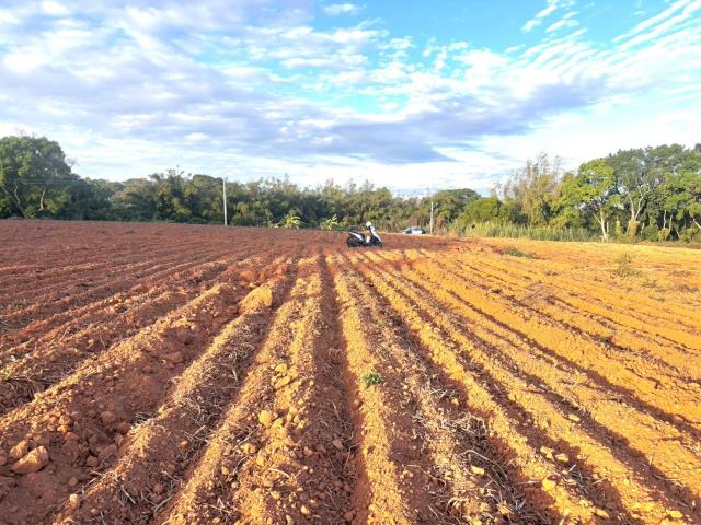 台中大雅農地-6