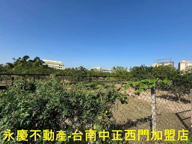 台南麻豆農地-8