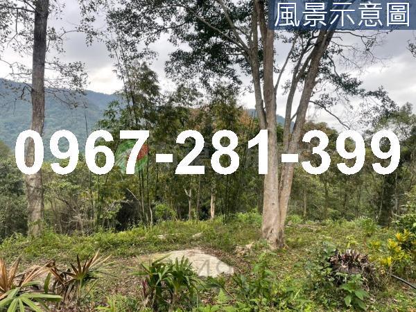 苗栗南庄農地-10