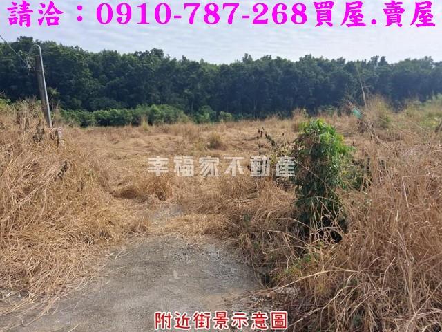 台南楠西農地-2