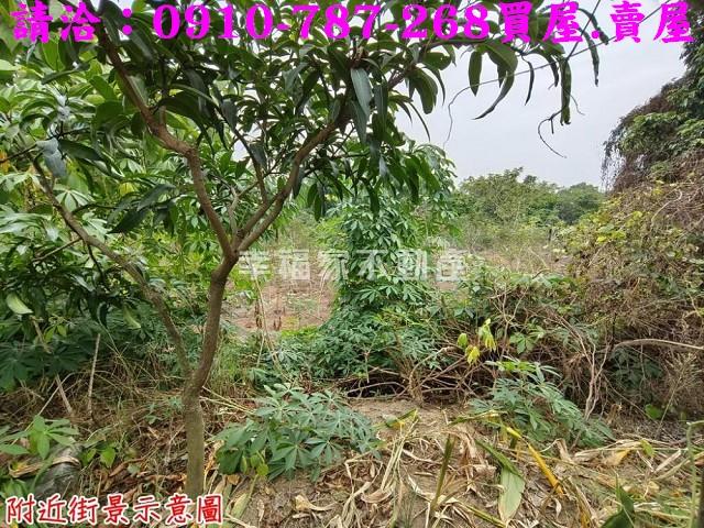 台南新市農地-12