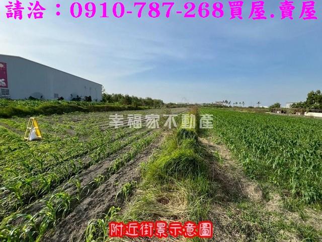 台南安南農地-8