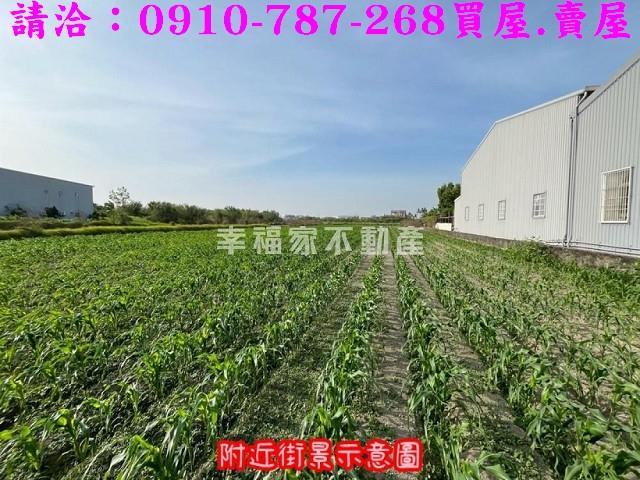 台南安南農地-9
