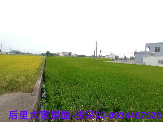 苗栗苑裡農地-4