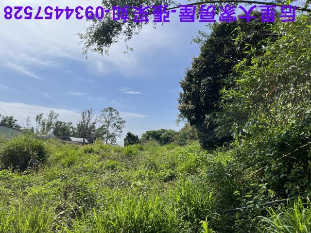台中后里農地-1