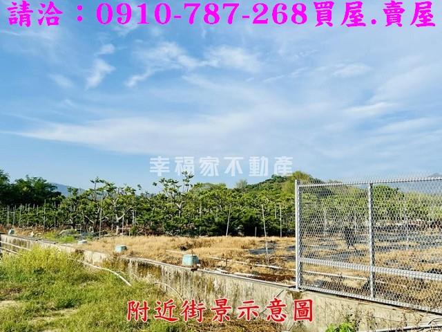 台南楠西農地-14