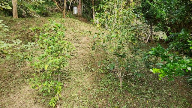 新竹北埔山坡地-9