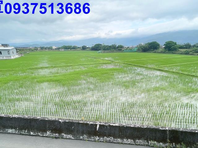 宜蘭礁溪農地-10