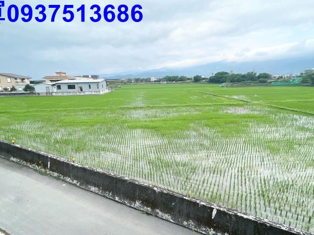 宜蘭礁溪農地-6