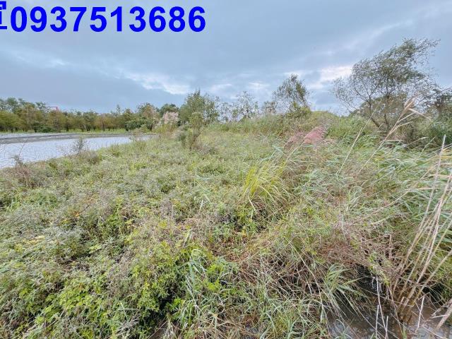 宜蘭宜蘭市農地-14