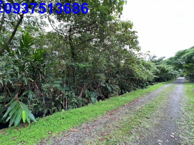 宜蘭員山農地-8