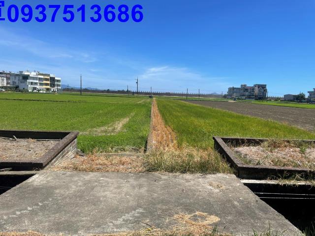 宜蘭壯圍農地-1