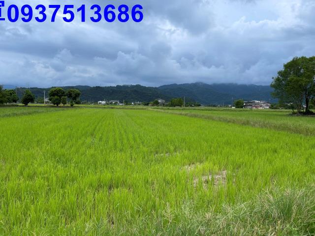 宜蘭三星農地-2