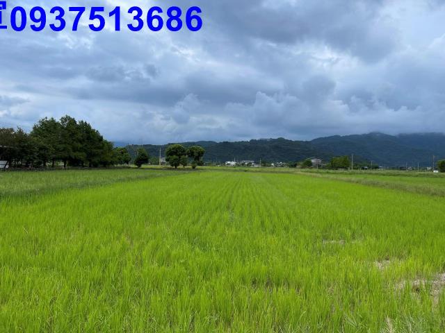 宜蘭三星農地-8