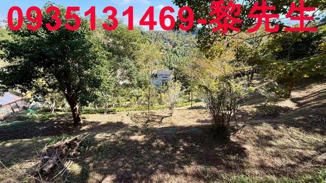 新竹峨眉農地-4