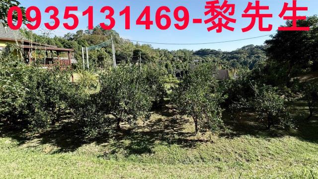 新竹峨眉農地-5