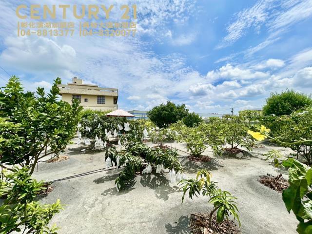 彰化大村農地-1