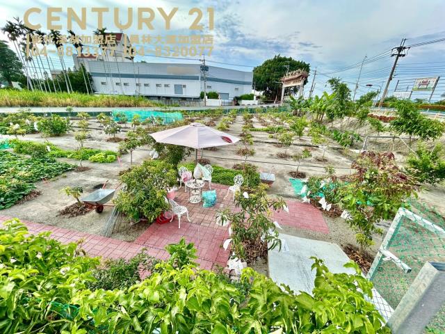 彰化大村農地-10