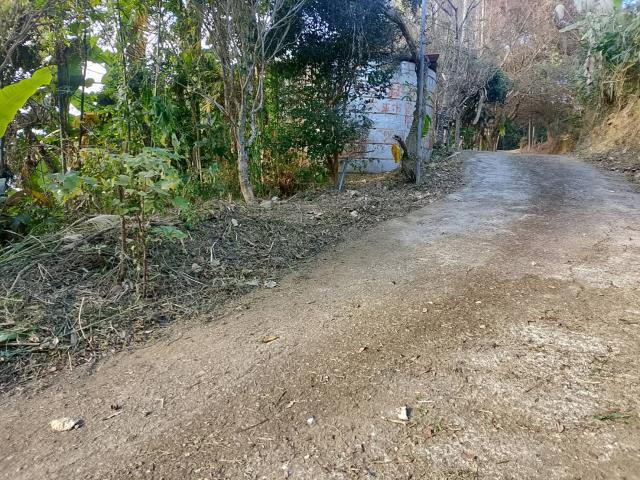 台中太平農地-12