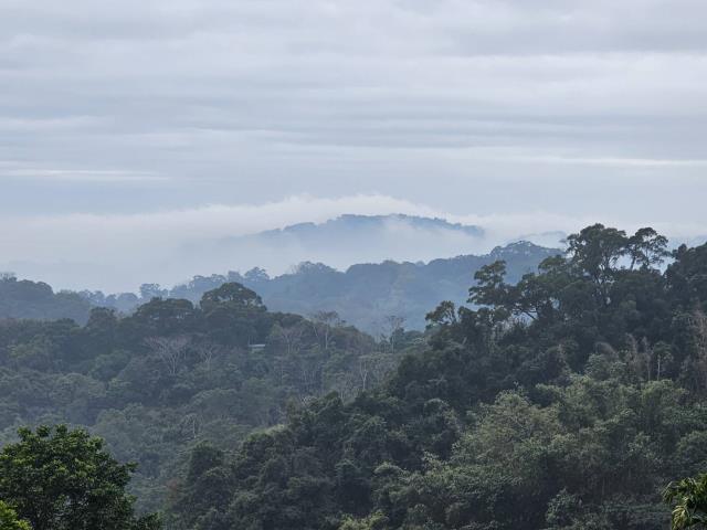 台中太平農地-8