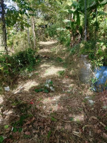 台中太平農地-8