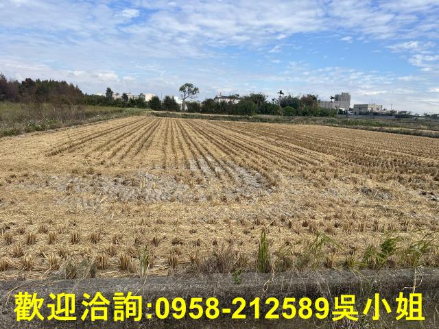 新竹新豐農地-5