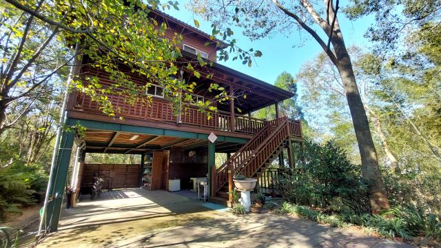 新竹橫山林地-4