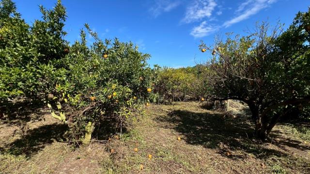 苗栗頭份農地-6