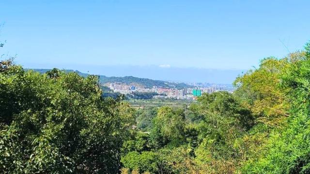 新竹橫山山坡地-14