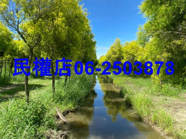 台南六甲農地-2