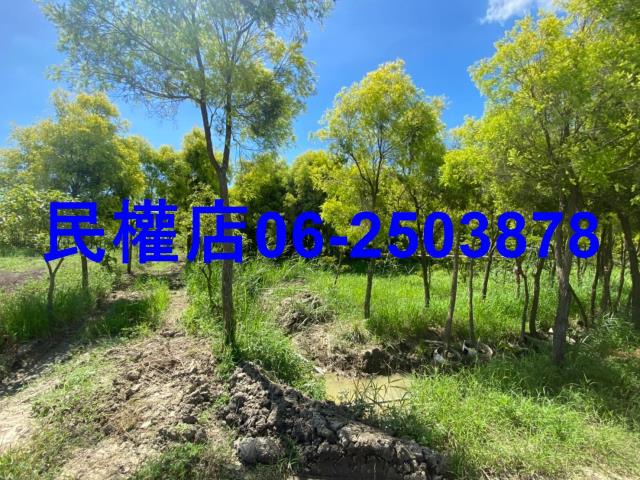 台南六甲農地-3