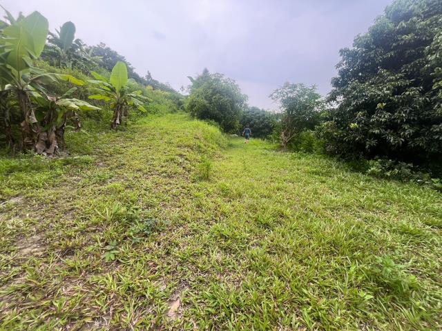 台中霧峰農地-10