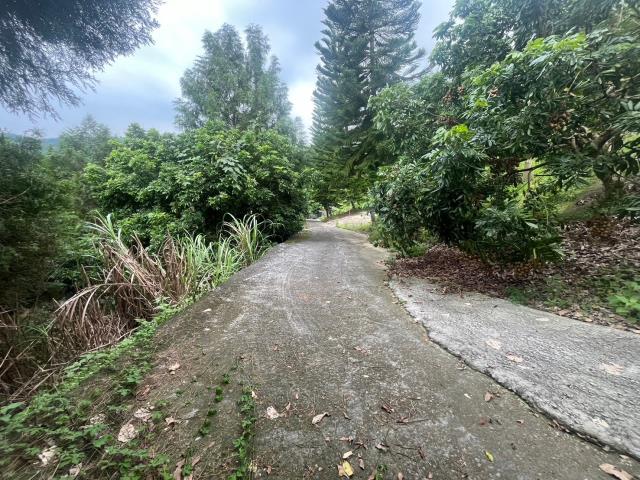 台中霧峰農地-12