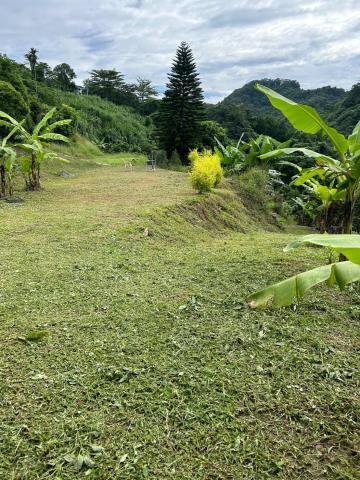 台中霧峰農地-15