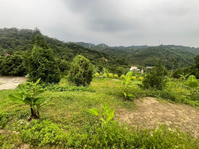 台中霧峰農地-8