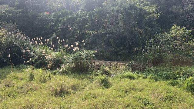 新竹北埔農地-2