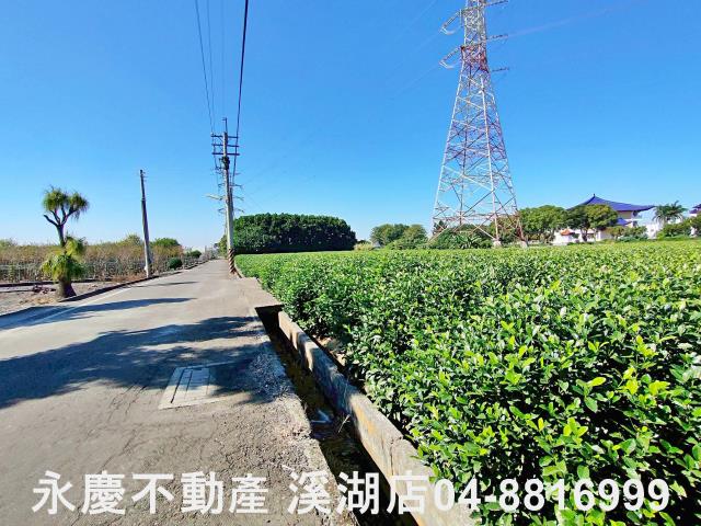 彰化田中農地-3