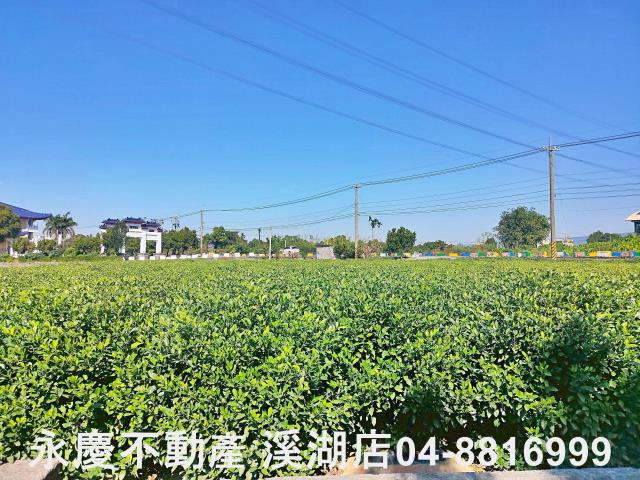 彰化田中農地-5