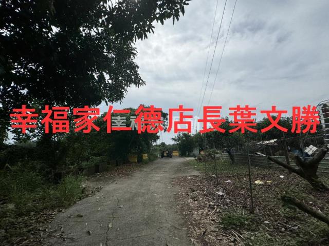 台南新化農地-5