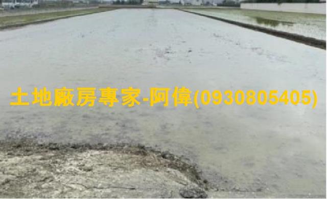 大寮農地-1