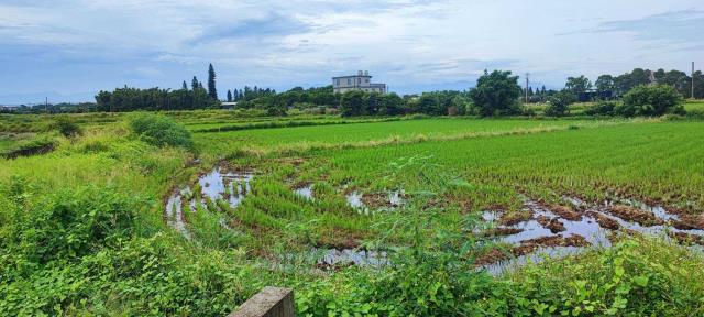 桃園農地-2