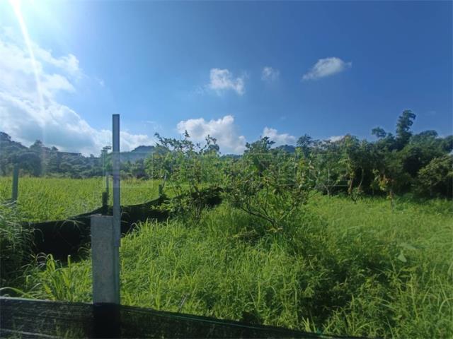 高雄大社農地-12