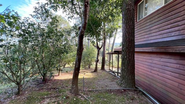 新竹峨眉林地-14