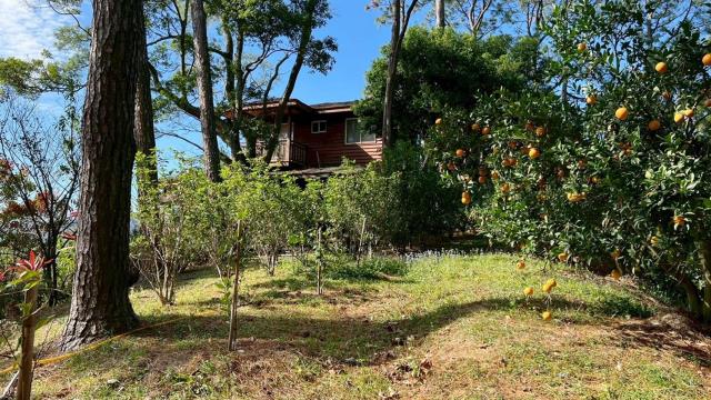 新竹峨眉林地-4